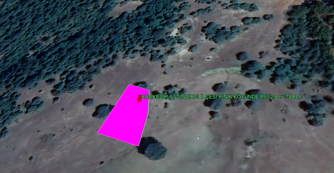 BALIKESİR İLİ SINDIRGI İLÇESİ KINIK KÖYÜNDE 893,29  m² TARLA