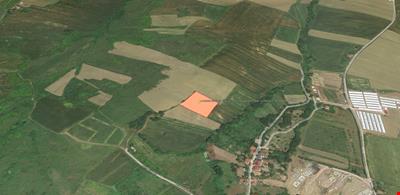 YALOVA ÇİFTLİKKÖY LALEDERE KÖYÜNDE DENİZ MANZARALI 5.546,18 M. KARE TARLA