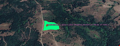 ÇANAKKALE İLİ BİGA İLÇESİ ARABAALAN KÖYÜ 8.750,04 m² BAHÇE