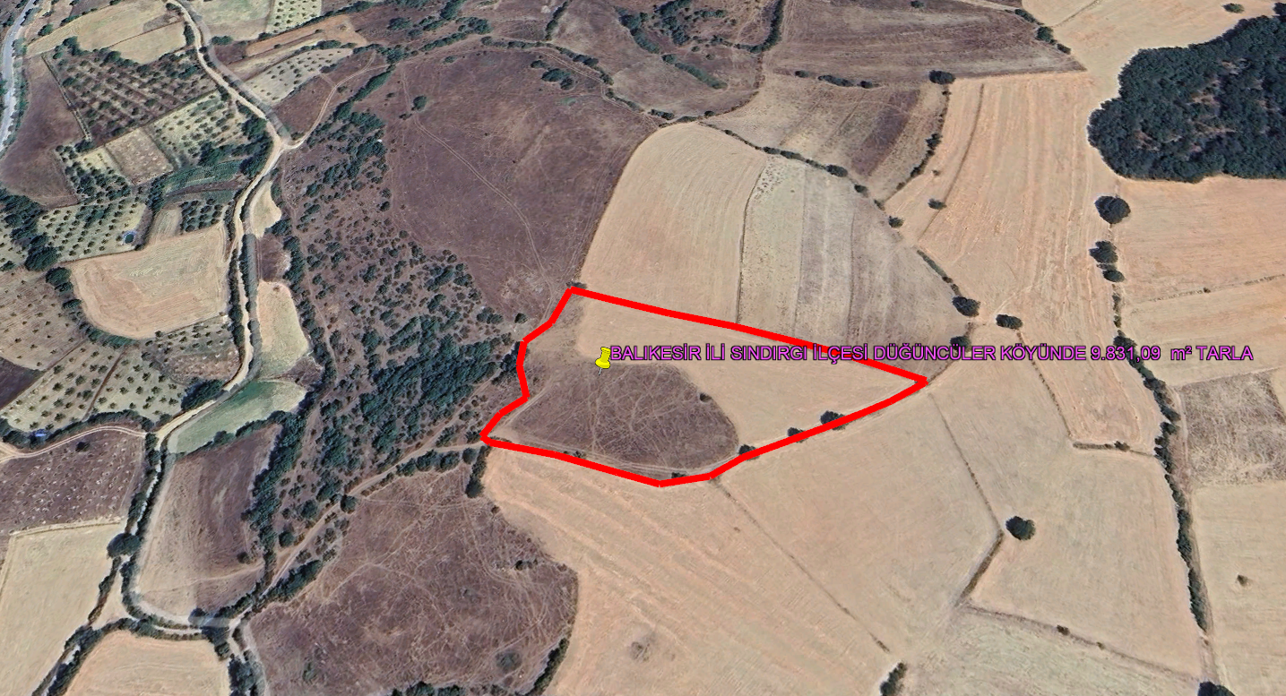 BALIKESİR İLİ SINDIRGI İLÇESİ DÜĞÜNCÜLER KÖYÜNDE 9.831,09  m² TARLA