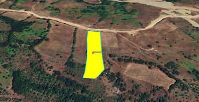 ÇANAKKALE İLİ BİGA İLÇESİ KAZMALI KÖYÜ 6.209,03 TARLA KADASTROL YOLU MEVCUT