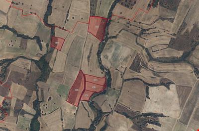 PARCELS IN VARIOUS SQUARE METERS IN KAVAKDERE VILLAGE, CENTRAL DISTRICT OF KIRKLARELI PROVINCE 260-262-263-264-270-276