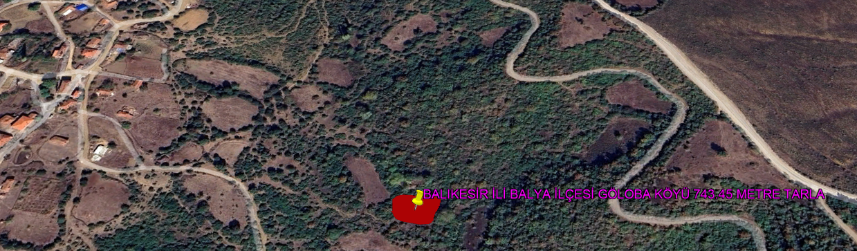 BALIKESİR İLİ BALYA İLÇESİ GÖLOBA KÖYÜ 743,06 m²  TARLA