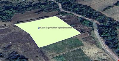 14.220 SQUARE METER FIELD IN ÇUKURKÖY VILLAGE OF ÇİFTLİKKÖY DISTRICT OF YALOVA PROVINCE
