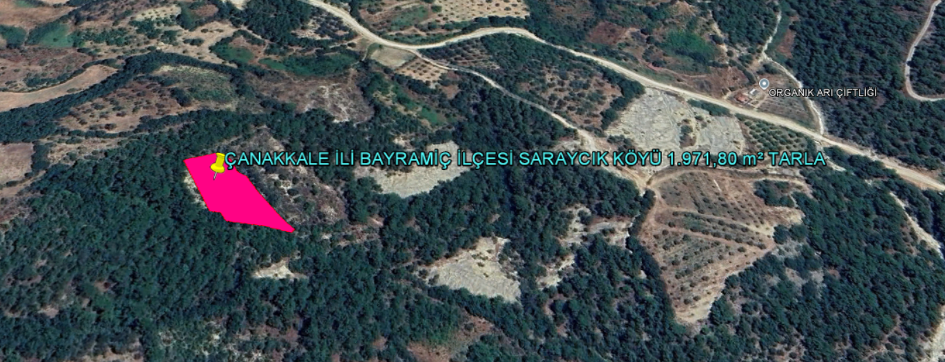 ÇANAKKALE İLİ BAYRAMİÇ İLÇESİ SARAYCIK KÖYÜ 1.971,80 m² TARLA