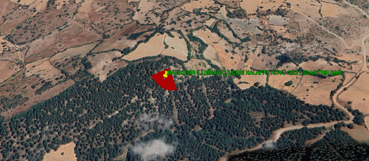 BALIKESİR İLİ BİGADİÇ İLÇESİ KALAFAT KÖYÜ 2.521,50 m²  BAĞ