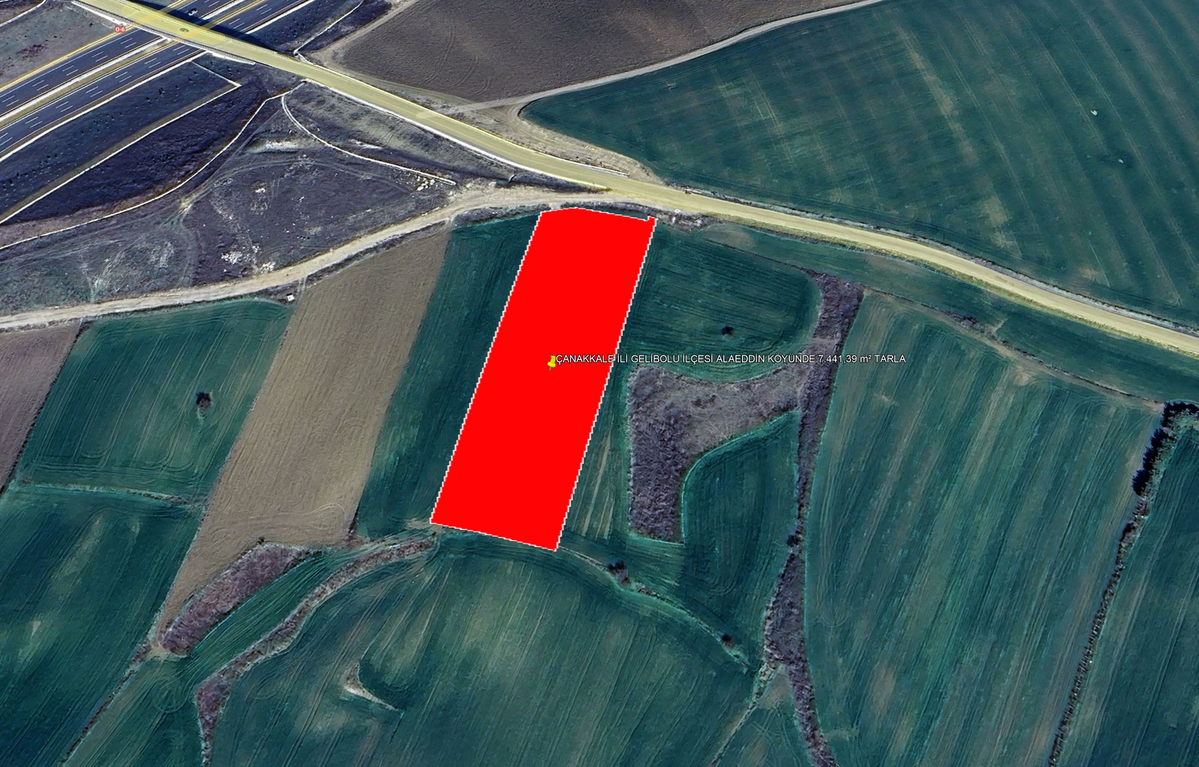 ÇANAKKALE İLİ GELİBOLU İLÇESİ ALAEDDİN KÖYÜ 7.441,39  m² TARLA KADASTROL YOLA CEPHELİ