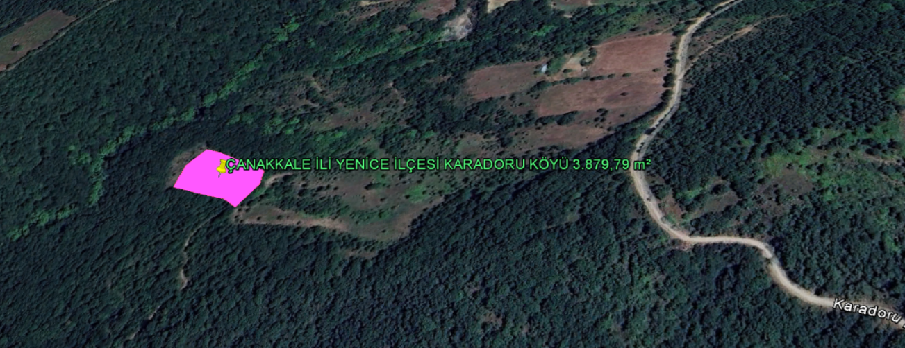 ÇANAKKALE İLİ YENİCE İLÇESİ KARADORU KÖYÜ 3.879,79 m² BAHÇE