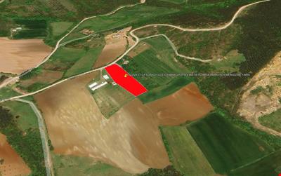 YALOVA İLİ ÇİFTLİKKÖY İLÇESİ KABAKLI KÖYÜ 4.866,59 m2 TARLA KÖY MERKEZİNE YAKIN