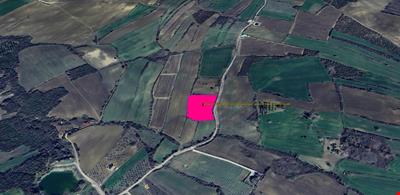 LAPSEKİ KOCAVELİ KÖYÜNDE FULL BOĞAZ VE KÖPRÜ MANZARALI 6.952 M KARE TARLA
