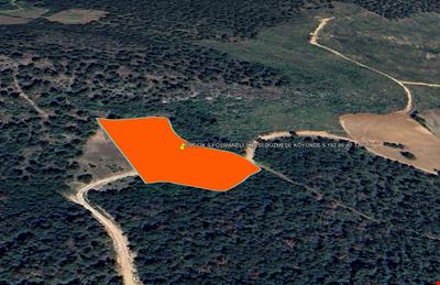 BİLECİK İLİ OSMANELİ İLÇESİ DÜZMEŞE KÖYÜNDE 5.192,86 m² TARLA