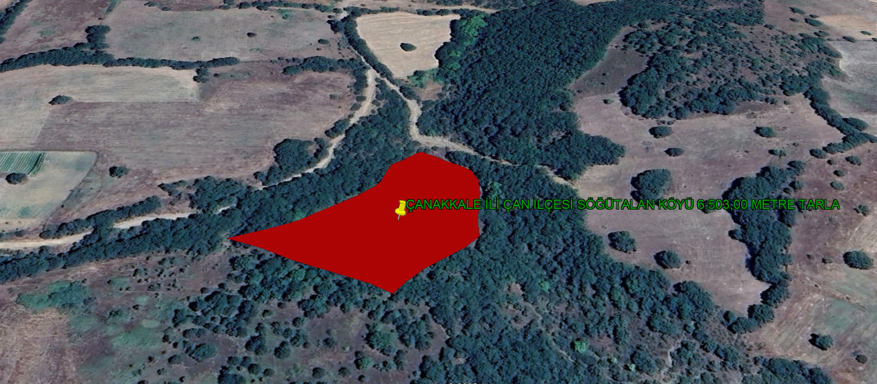 ÇANAKKALE İLİ ÇAN İLÇESİ SÖĞÜTALAN KÖYÜ 6.503,00  m² TARLA