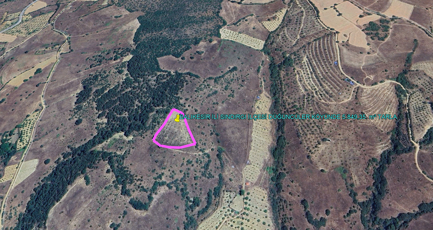 BALIKESİR İLİ SINDIRGI İLÇESİ DÜĞÜNCÜLER KÖYÜNDE 5.849,35  m² TARLA