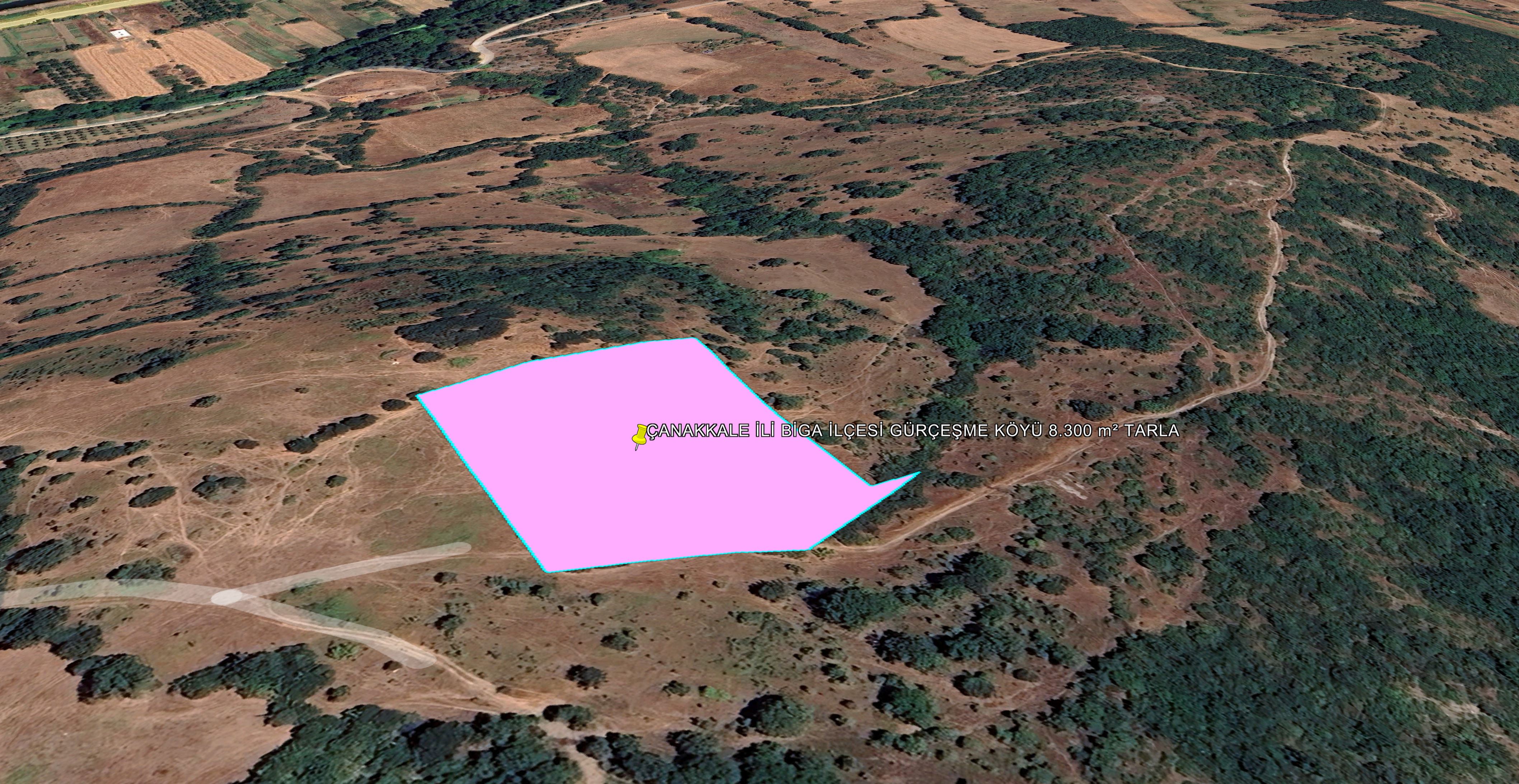 ÇANAKKALE İLİ BİGA İLÇESİ GÜRÇEŞME KÖYÜ 8.300 m² TARLA