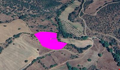 BALIKESİR İLİ  DURSUNBEY İLÇESİ SİNDERLER KÖYÜNDE 5.738,29 M KARE ARSA KADASTROL YOLU MEVCUTTUR