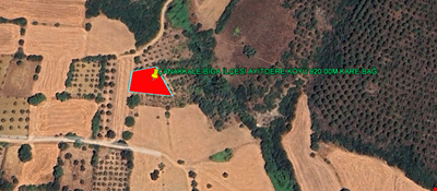 ÇANAKKALE PROVINCE BİGA DISTRICT AYITDERE VILLAGE 920,00 SQUARE METER VINEYARD