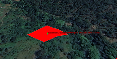 ÇANAKKALE İLİ ÇAN İLÇESİ BARDAKÇILAR KÖYÜNDE 1.163,53  m² BAHÇE