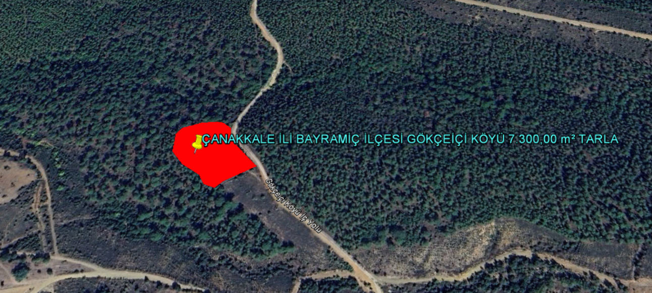 ÇANAKKALE İLİ BAYRAMİÇ İLÇESİ GÖKÇEİÇİ KÖYÜ 7.300,00 m² TARLA