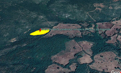 YENİCE DARIALAN DA 6.500 M KARE ORMANA CEPHE TARLA