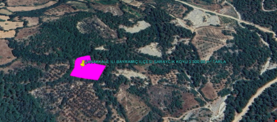 ÇANAKKALE İLİ BAYRAMİÇ İLÇESİ SARAYCIK KÖYÜ 3.300,00 m² TARLA