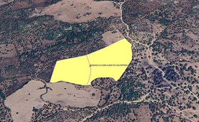 ÇANAKKALE İLİ EZİNE İLÇESİ YAYLACIK KÖYÜNDE 64.400,00 m² EKO İMAR İÇERİSİNDE DENİZ GÖREN TARLA