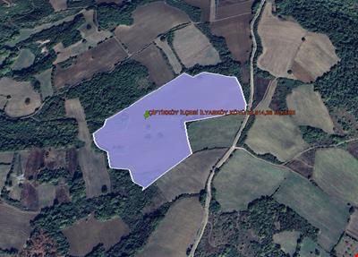 YALOVA İLİ ÇİFTLİKKÖY İLÇESİ İLYASKÖY KÖYÜ  82.514,28 M KARE TARLA KADASTROL YOLA CEPHE
