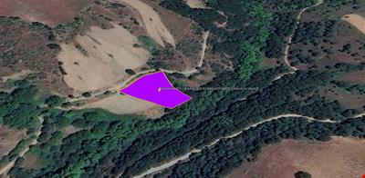 ÇANAKKALE İLİ BİGA İLÇESİ ELMALI KÖYÜNDE 1.444,00 m² BAHÇE KADASTROL YOLA CEPHE