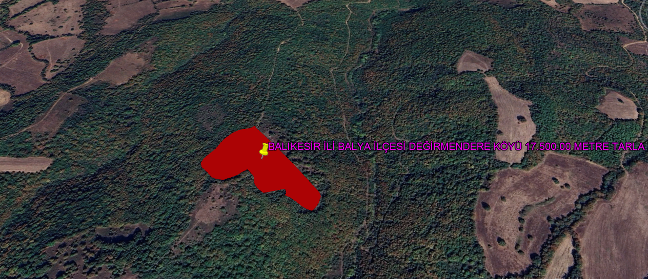 BALIKESİR İLİ BALYA İLÇESİ DEĞİRMENDERE KÖYÜ 17.500,00 m²  TARLA