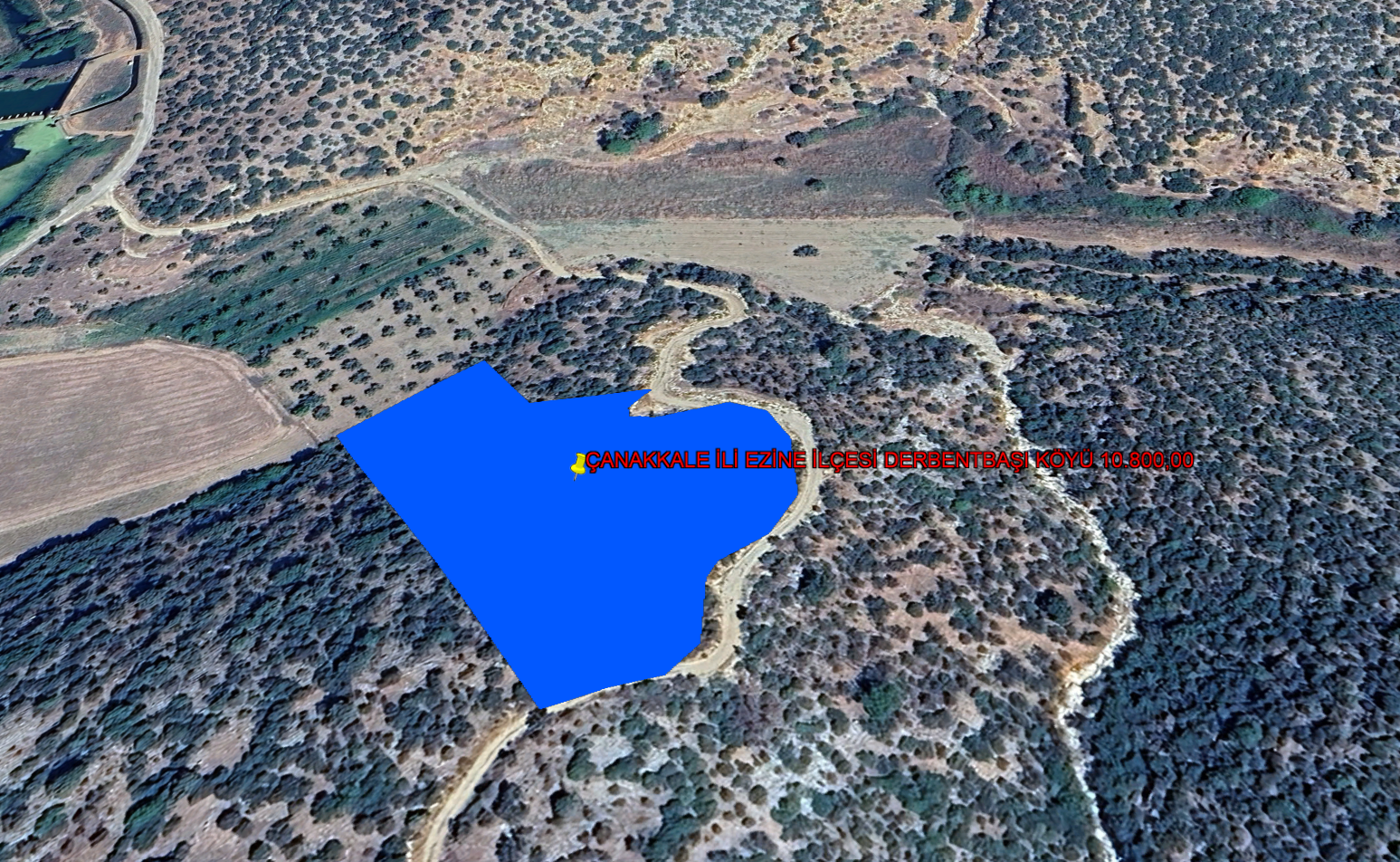ÇANAKKALE İLİ EZİNE İLÇESİ DERBENTBAŞI KÖYÜ 10.800,00 m²  ZEYTİNLİK
