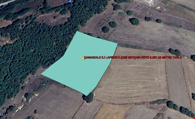 ÇANAKKALE PROVINCE LAPSEKİ COUNTY BEYÇAYIR VILLAGE 5.257,43 m² LAND