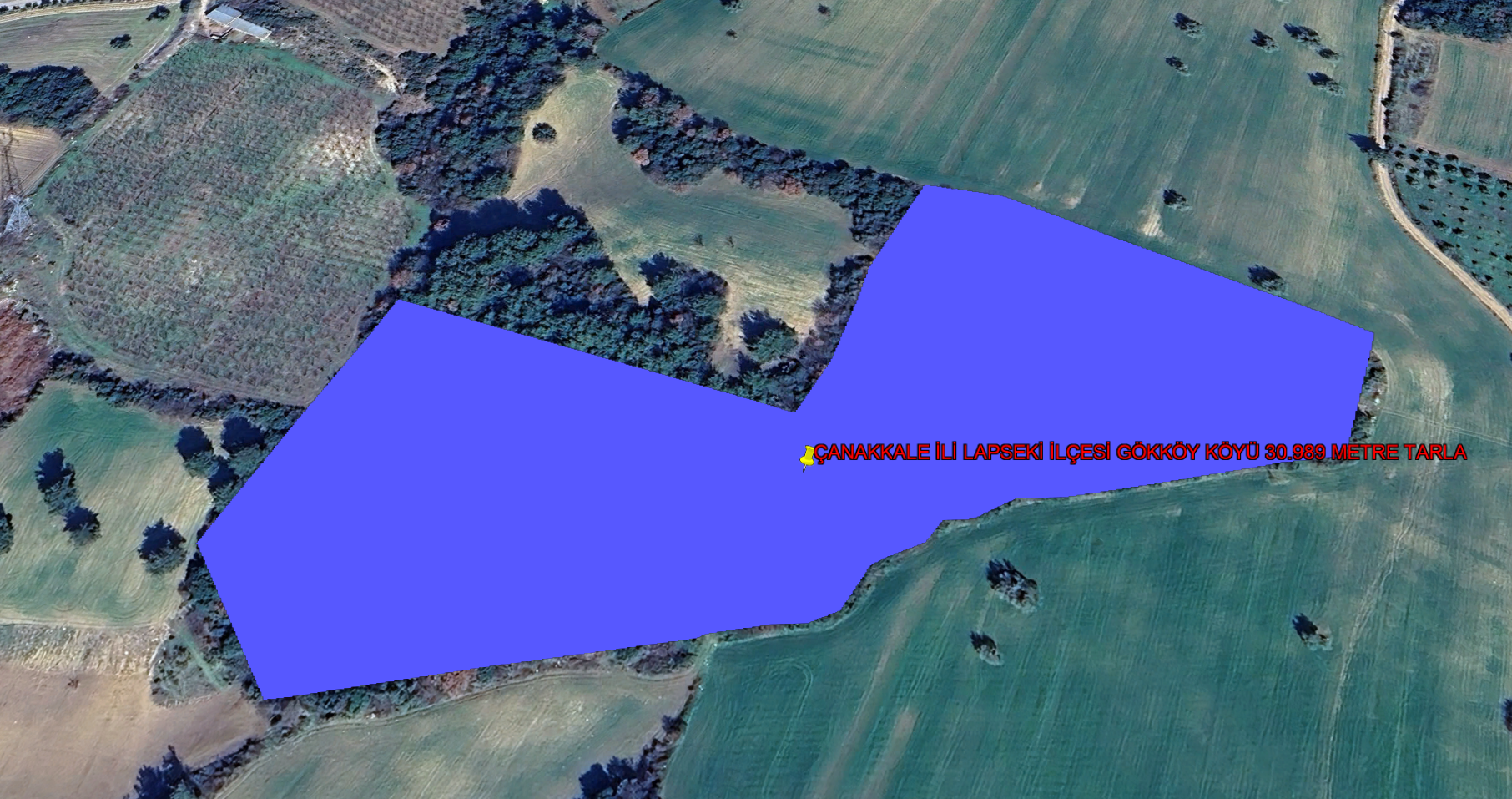 ÇANAKKALE İLİ LAPSEKİ İLÇESİ GÖKKÖY KÖYÜ 30.989 m²  TARLA