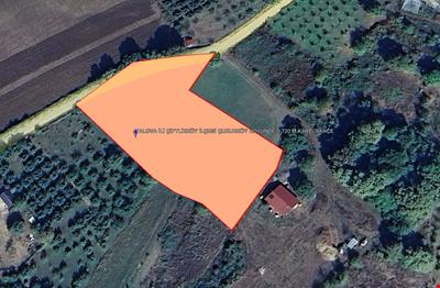 YALOVA İLİ ÇİFTLİKKÖY İLÇESİ ÇUKURKÖY KÖYÜNDE 5.720 M KARE  BAHÇE