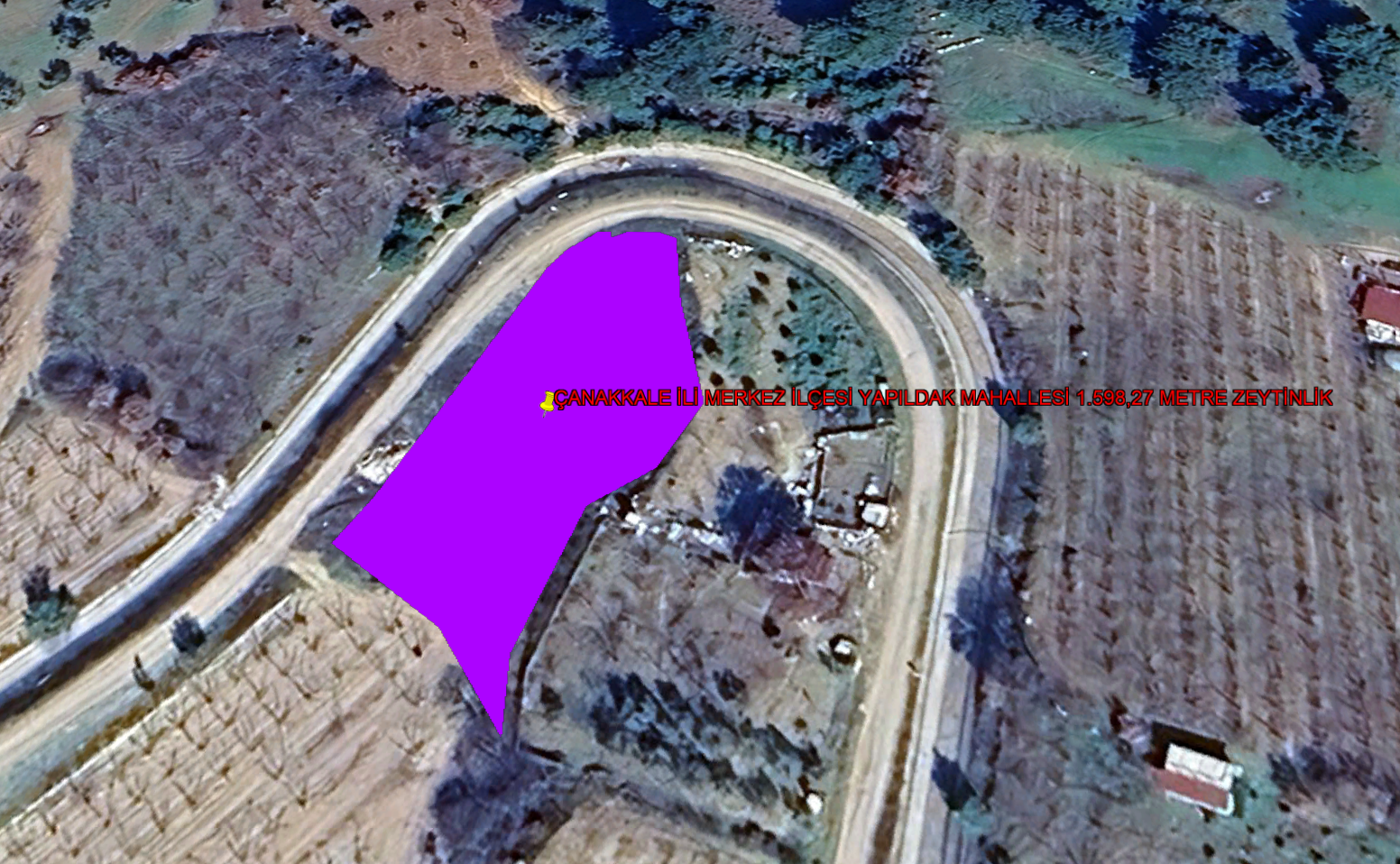 ÇANAKKALE İLİ MERKEZ İLÇESİ YAPILDAK MAHALLESİ 1.598,27 m²  ZEYTİNLİK