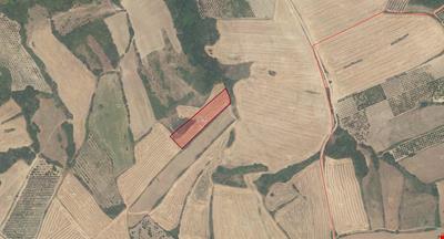 LAPSEKİ GAZİSÜLEYMANPAŞA MAH. 5.126 M KARE FULL BOĞAZ MANZARALI TARLA