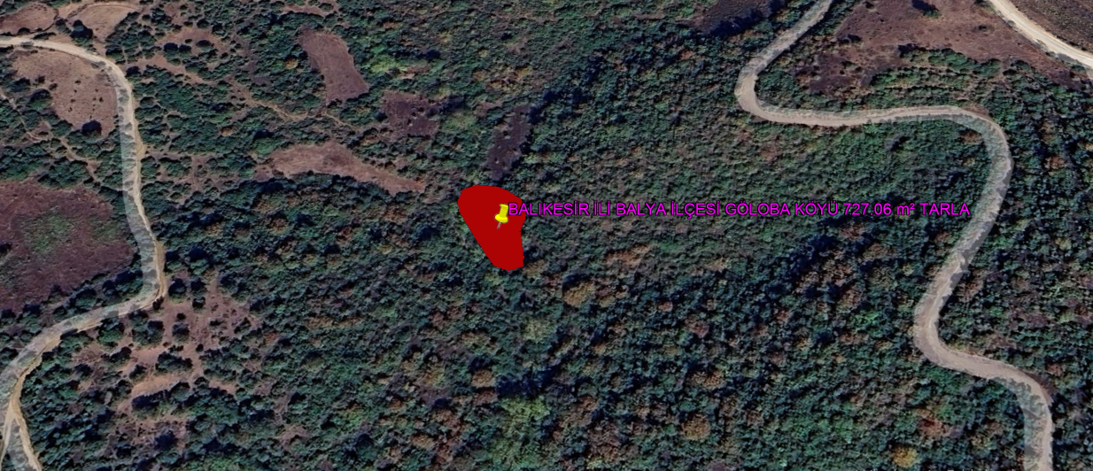 BALIKESİR İLİ BALYA İLÇESİ GÖLOBA KÖYÜ 727,06 m²  TARLA