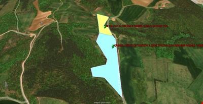 YALOVA ÇİFTLİKKÖY KABAKLI KÖYÜNDE KÖY YAKINI  23.085 M KARE ÇİFTLİK ARAZİSİ