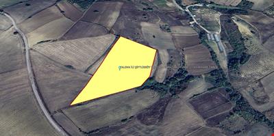 YALOVA İLİ ÇİFTLİKKÖY İLÇESİ ÇUKURKÖY KÖYÜNDE 23.900 M KARE TARLA