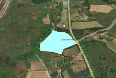 YALOVA İLİ ÇİFTLİKKÖY İLÇESİ DEREKÖY KÖYÜ 18.010,56 m2 BAHÇE YOLA CEPHE