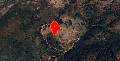 8.917,94M SQUARE FIELD IN KERAMET VILLAGE OF ORHANGAZİ DISTRICT OF BURSA PROVINCE FRONTING THE CADASTRAL ROAD
