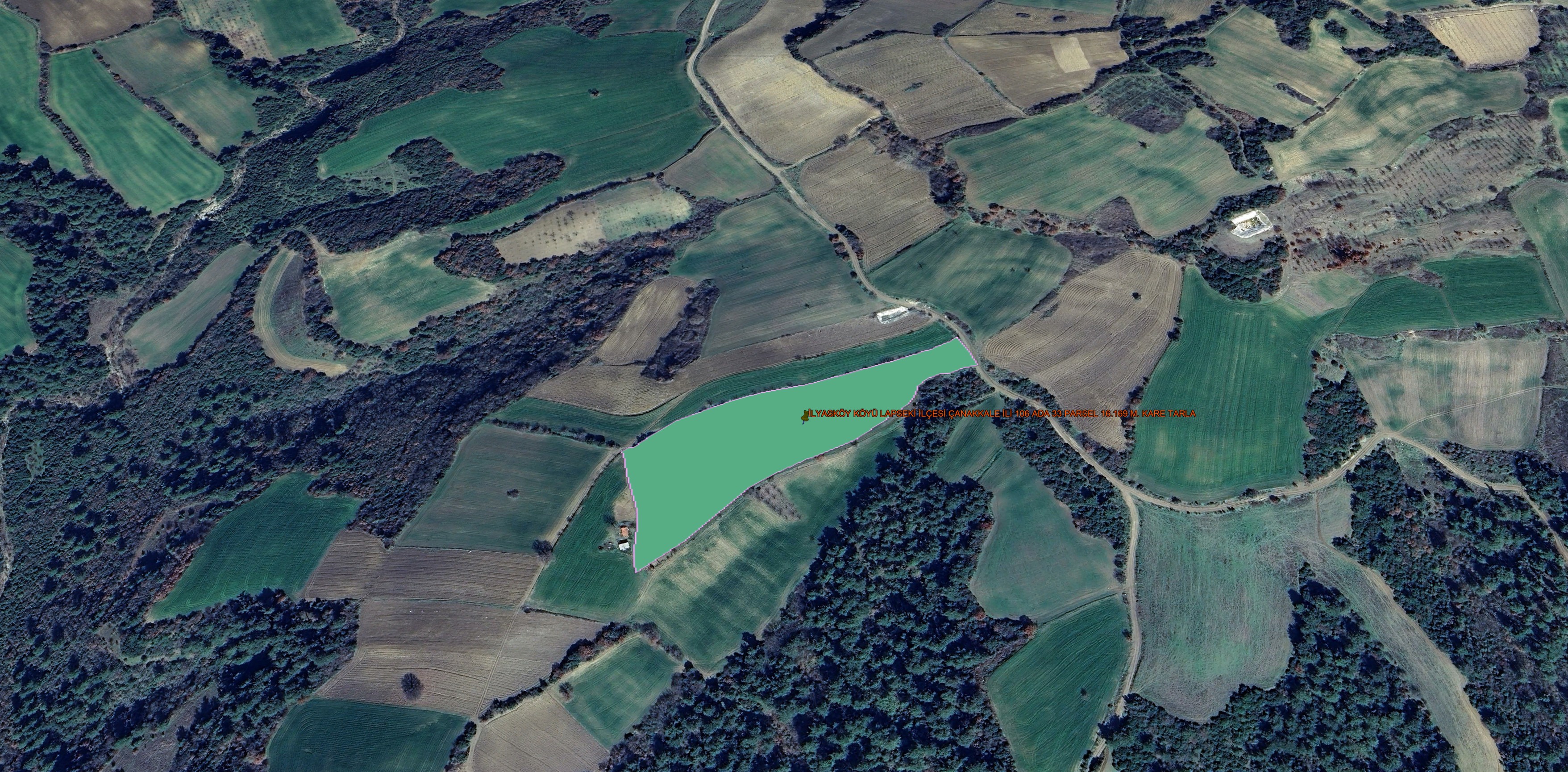 LAPSEKİ İLYASKÖY DE 16.169 M. KARE TARLA