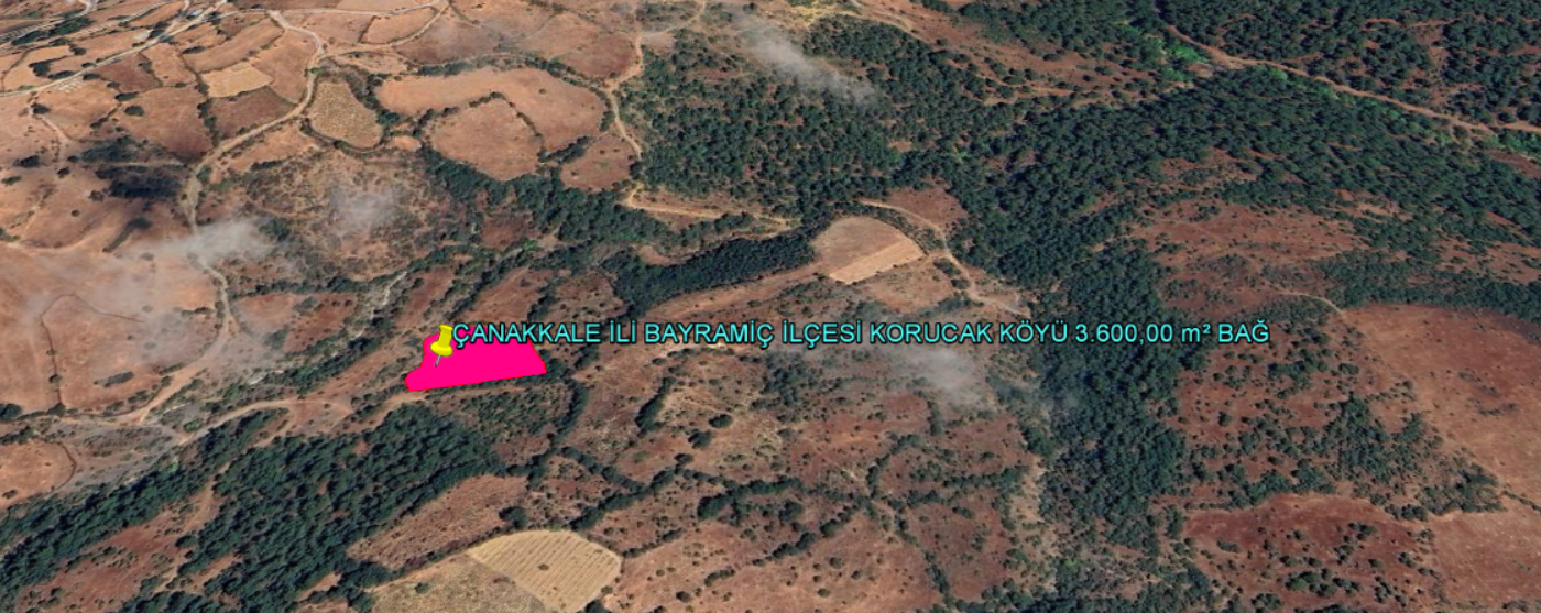 ÇANAKKALE İLİ BAYRAMİÇ İLÇESİ KORUCAK KÖYÜ 3.600,00 m² BAĞ