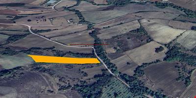 YALOVA PROVINCE ÇİFTLİKKÖY DISTRICT KILIÇ VILLAGE 6.116 SQUARE METER FIELD