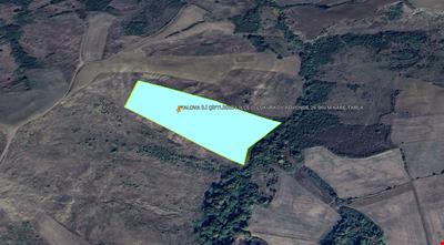 YALOVA İLİ ÇİFTLİKKÖY İLÇESİ ÇUKURKÖY KÖYÜNDE 26.960 M KARE TARLA