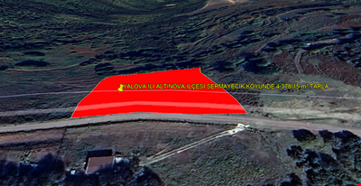 YALOVA İLİ ALTINOVA İLÇESİ SERMAYECİK KÖYÜNDE 4.378,15 m² TARLA