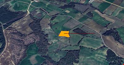 LAPSEKİ KOCAVELİ KÖYÜNDE FULL BOĞAZ VE KÖPRÜ MANZARALI 5.430 M KARE TARLA
