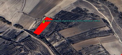 EDİRNE İLİ HAVSA İLÇESİ KUZUCU KÖYÜ 3.630,00  m² TARLA