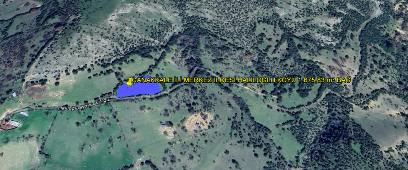ÇANAKKALE İLİ MERKEZ İLÇESİ HALİLOĞLU KÖYÜ 1.675,83 m² BAĞ