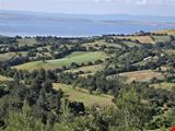 16.381,11 SQUARE METERS OF LAND CLOSE TO THE VILLAGE WITH FULL BOSPHORUS AND BRIDGE VIEW IN LAPSEKİ TAŞTEPE