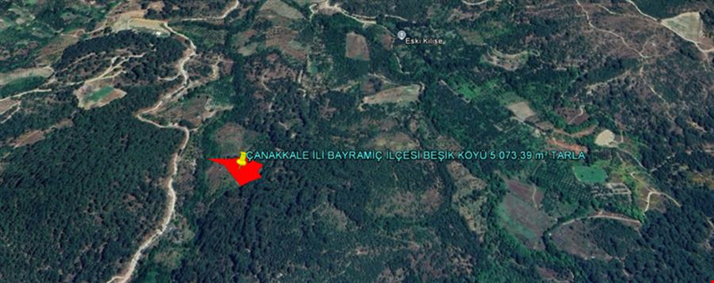 ÇANAKKALE İLİ BAYRAMİÇ İLÇESİ BEŞİK KÖYÜ 5.073,39 m² TARLA