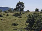 16.381,11 SQUARE METERS OF LAND CLOSE TO THE VILLAGE WITH FULL BOSPHORUS AND BRIDGE VIEW IN LAPSEKİ TAŞTEPE